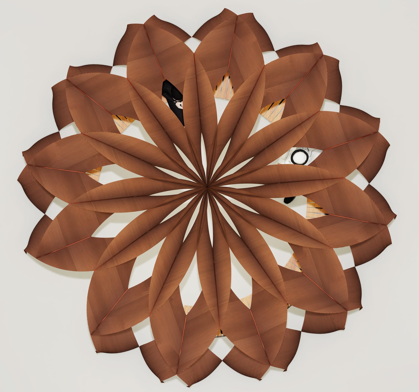 Top-down plan of the radiating timber petal canopy