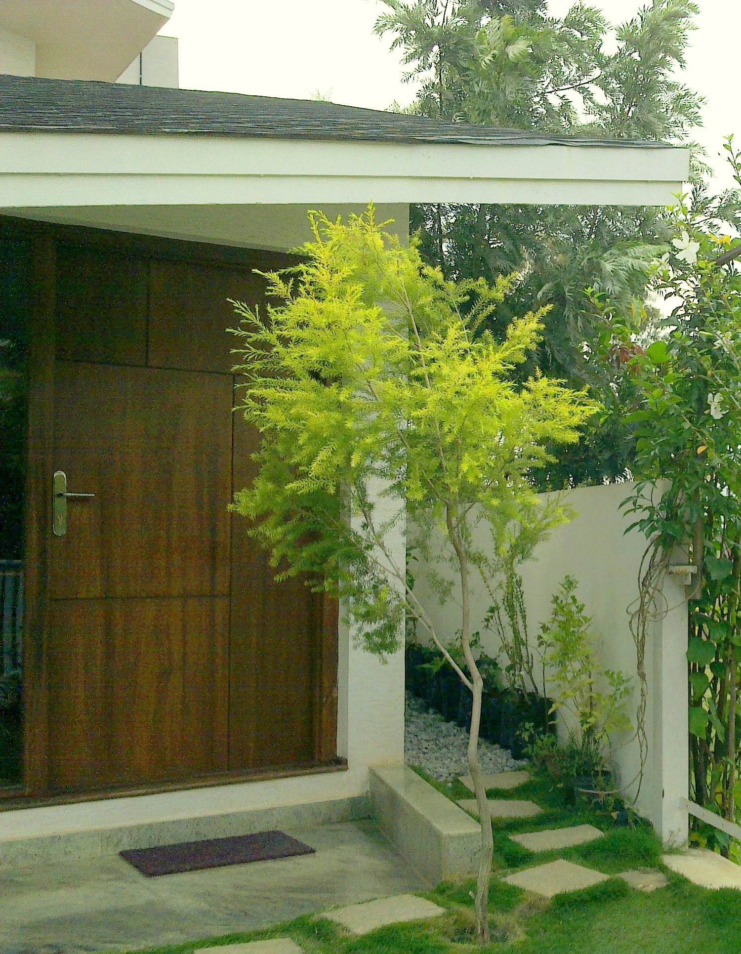 Cedar House — landscaped entrance courtyard with stepping stones