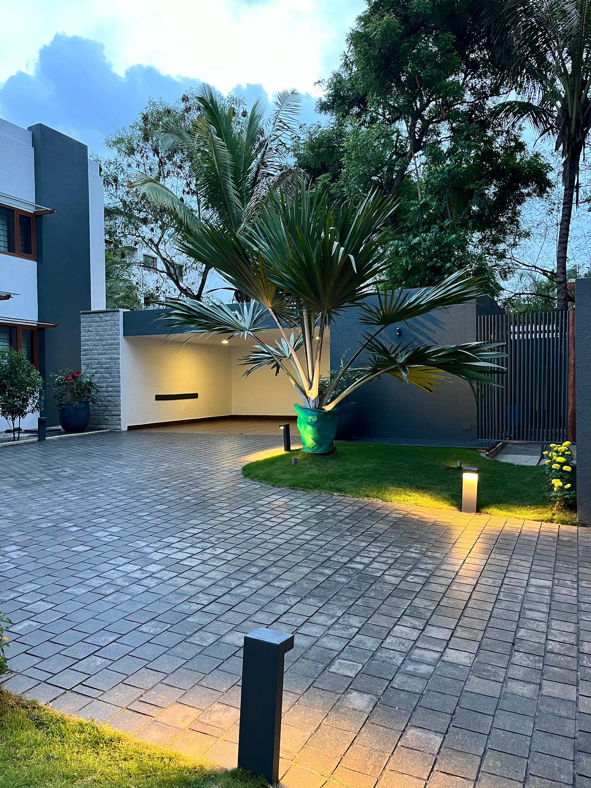 Bafna residence — paved forecourt with feature palm and uplighting at dusk