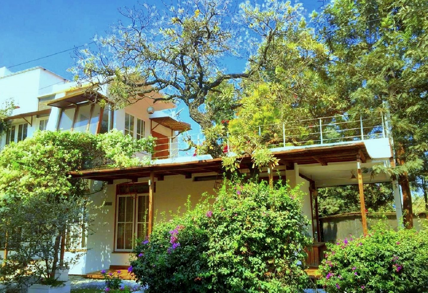 TA House — white façade framed by mature trees and bougainvillea