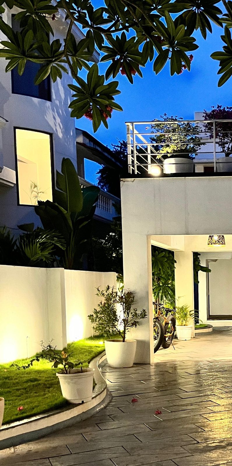 Gilbert — garden court at dusk with frangipani, uplit lawn and paved drive